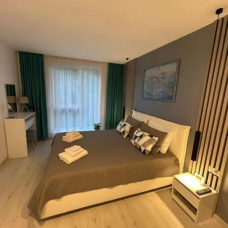 Joy Sever Bocu 7 טימישוארה