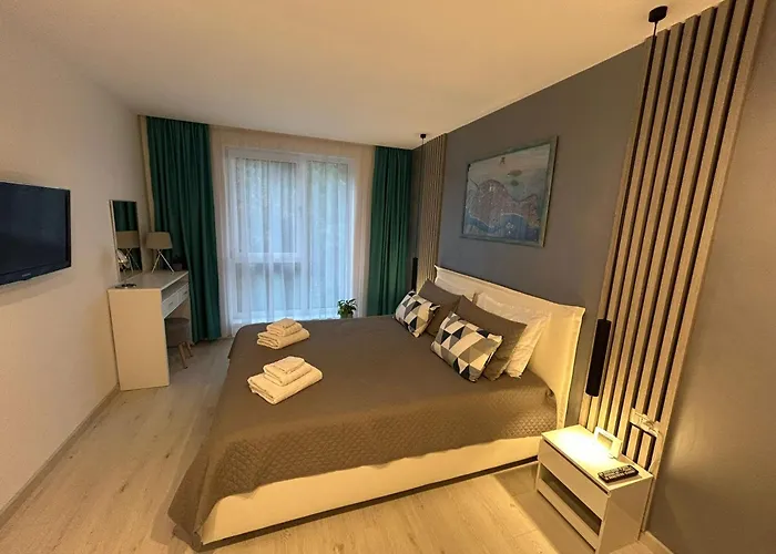 Joy Sever Bocu 7 Timisoara