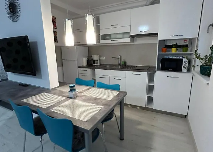 Joy Sever Bocu 7 * Timişoara