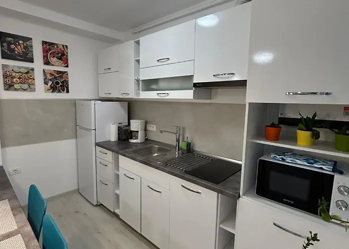 Joy Sever Bocu 7 * Timişoara